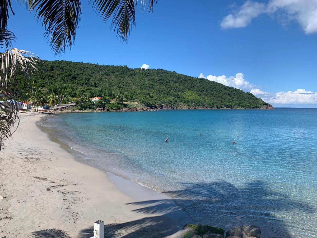 Ti Kaz Anoli Cottage En Bois Avec Vue Sur La Baie Terre-de-Bas Extérieur photo