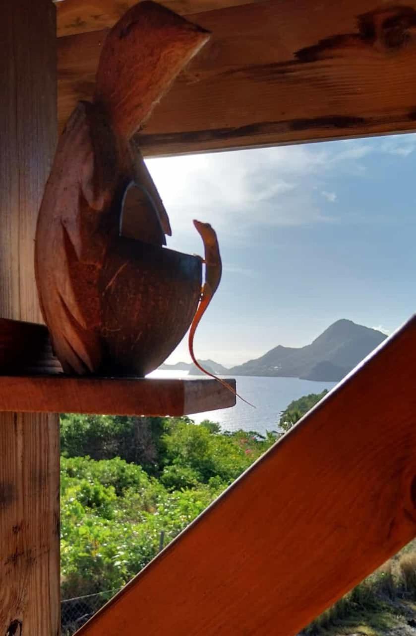 Ti Kaz Anoli Cottage En Bois Avec Vue Sur La Baie Terre-de-Bas Extérieur photo